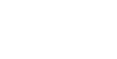 DAMA VA